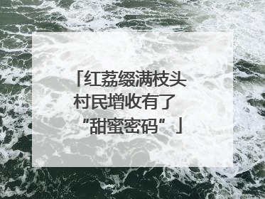 红荔缀满枝头 村民增收有了“甜蜜密码”