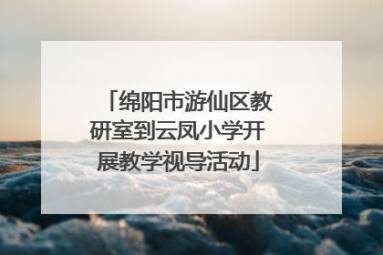绵阳市游仙区教研室到云凤小学开展教学视导活动