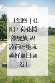 组图｜桂阳：荷花悄然绽放 碧波荷叶绘就美好夏日画卷
