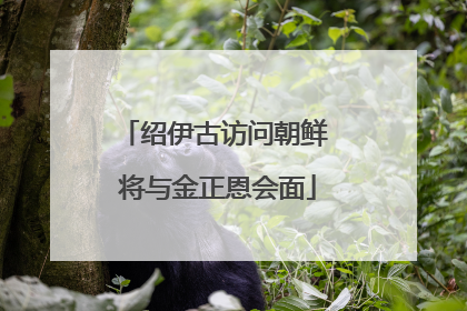 绍伊古访问朝鲜 将与金正恩会面