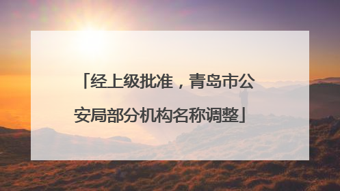 经上级批准，青岛市公安局部分机构名称调整