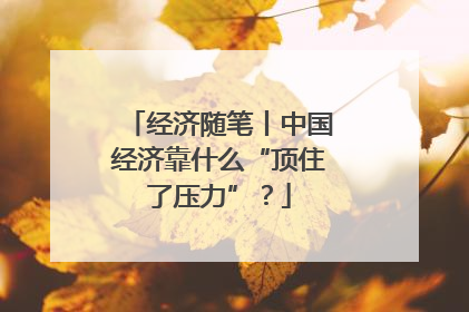 经济随笔丨中国经济靠什么“顶住了压力”？