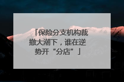 保险分支机构裁撤大潮下，谁在逆势开“分店”