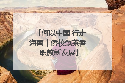 何以中国·行走海南｜侨校飘茶香 职教新发展