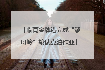 临高金牌港完成“黎母岭”轮试靠泊作业