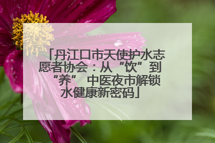 丹江口市天使护水志愿者协会：从“饮”到“养” 中医夜市解锁水健康新密码