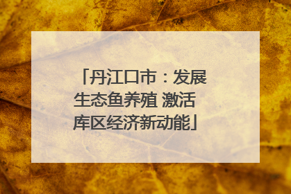 丹江口市：发展生态鱼养殖 激活库区经济新动能