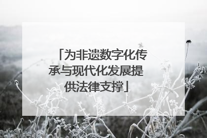 为非遗数字化传承与现代化发展提供法律支撑