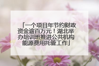 一个项目年节约财政资金逾百万元！湖北举办培训班推进公共机构能源费用托管工作