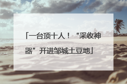 一台顶十人！“采收神器”开进邹城土豆地