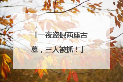 一夜盗掘两座古墓，三人被抓！