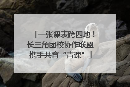 一张课表跨四地！长三角团校协作联盟携手共育“青课”