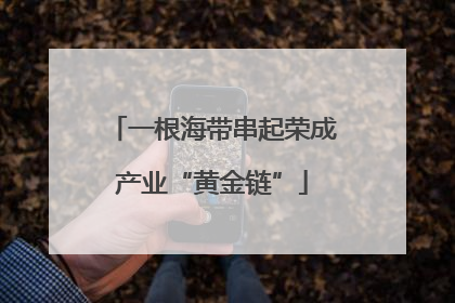 一根海带串起荣成产业“黄金链”