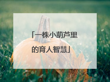 一株小葫芦里的育人智慧