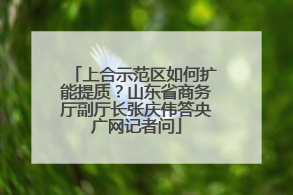 上合示范区如何扩能提质？山东省商务厅副厅长张庆伟答央广网记者问