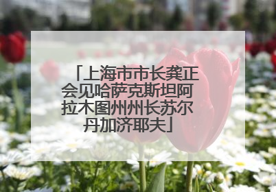 上海市市长龚正会见哈萨克斯坦阿拉木图州州长苏尔丹加济耶夫