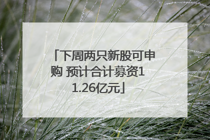下周两只新股可申购 预计合计募资11.26亿元
