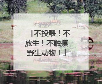 不投喂！不放生！不触摸野生动物！