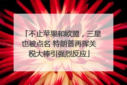 不止苹果和欧盟，三星也被点名 特朗普再挥关税大棒引强烈反应