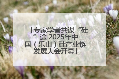 专家学者共谋“硅”途 2025年中国（乐山）硅产业链发展大会开幕
