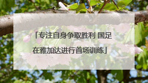 专注自身争取胜利 国足在雅加达进行首场训练