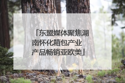东盟媒体聚焦湖南怀化箱包产业 产品畅销亚欧美