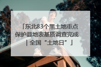 东北83个黑土地重点保护县地表基质调查完成｜全国“土地日”