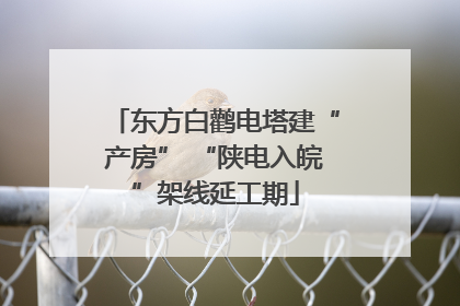 东方白鹳电塔建“产房” “陕电入皖”架线延工期