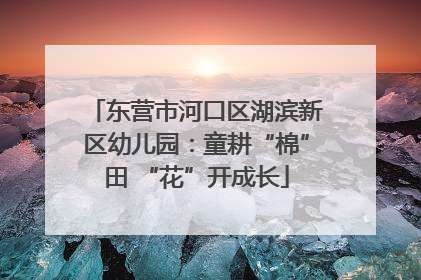 东营市河口区湖滨新区幼儿园：童耕“棉”田 “花”开成长