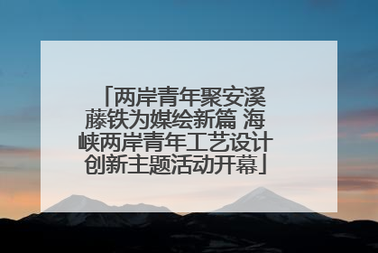 两岸青年聚安溪 藤铁为媒绘新篇 海峡两岸青年工艺设计创新主题活动开幕