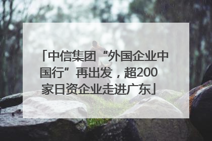 中信集团“外国企业中国行”再出发，超200家日资企业走进广东