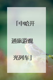 中哈开通旅游观光列车