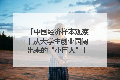 中国经济样本观察｜从大学生创业园闯出来的“小巨人”