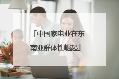 中国家电业在东南亚群体性崛起