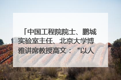 中国工程院院士、鹏城实验室主任、北京大学博雅讲席教授高文：“以人为本 智能向善” 推动文化与科技相生相促｜聚焦2025文化强国建设高峰论坛