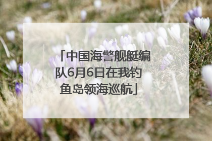 中国海警舰艇编队6月6日在我钓鱼岛领海巡航