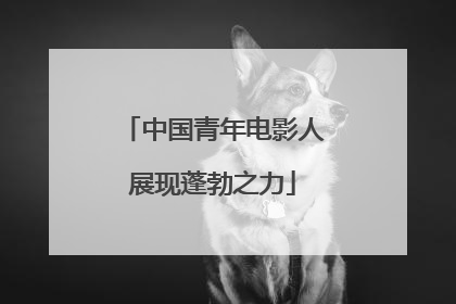 中国青年电影人展现蓬勃之力