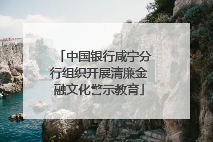 中国银行咸宁分行组织开展清廉金融文化警示教育