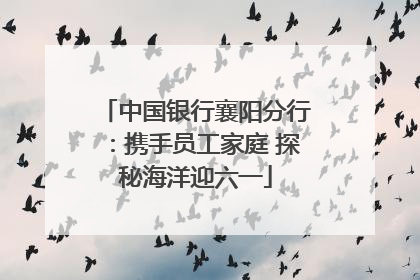 中国银行襄阳分行：携手员工家庭 探秘海洋迎六一