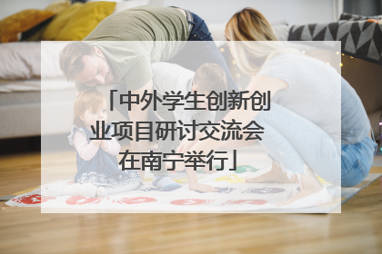 中外学生创新创业项目研讨交流会在南宁举行