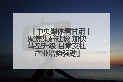 中央媒体看甘肃丨聚焦集群建设 加快转型升级 甘肃支柱产业增势强劲