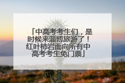 中高考考生们，是时候来淄博旅游了！红叶柿岩面向所有中高考考生免门票