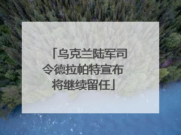乌克兰陆军司令德拉帕特宣布将继续留任
