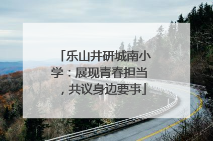 乐山井研城南小学：展现青春担当，共议身边要事