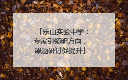 乐山实验中学：专家引领明方向，课题研讨促提升