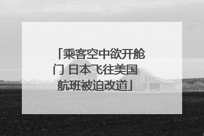 乘客空中欲开舱门 日本飞往美国航班被迫改道