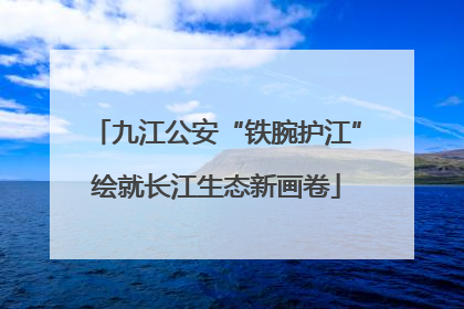 九江公安“铁腕护江”绘就长江生态新画卷
