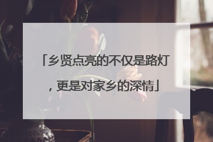 乡贤点亮的不仅是路灯，更是对家乡的深情