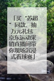 买“苏超”同款、抽万元礼包 京东运动采销直播间带你现场沉浸式看球赛