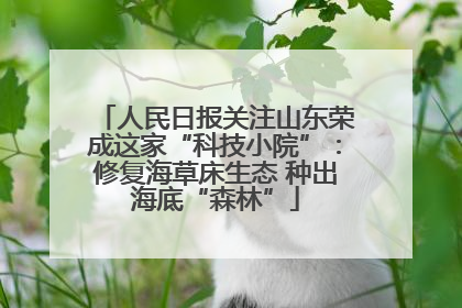 人民日报关注山东荣成这家“科技小院”：修复海草床生态 种出海底“森林”